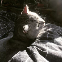 ����ʺ����������������ʲô��ѽ����������������