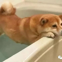 ӲԸϴ裬˶Ƕ£Ҳƴˡ