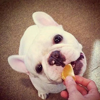 Ȼ˵⼸ڶ˵Ұ