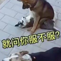 ѹڵϽʱһֻ»·ˡ