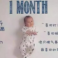 �������¸����|1-12���±���ÿ���»᳤���?һ�鴴���ո����㣡