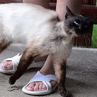 ���죬è���������