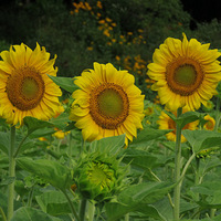 ������������