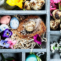 ������ѧ�������ױ��ص����¼ȡ��������ʷ���ǿ����