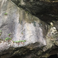 ����̫���ȣ�һ��ȥͩ®����ͨ�����������