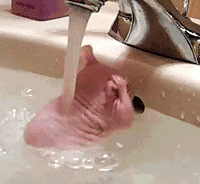 ﹷϴЩ£һžͰЦſˣ