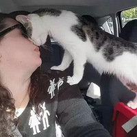 ���Ҫ����������è�䱻�����������������ľٶ�...