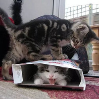 ��˵�⼸�쿴���籭�������������ӵ�...