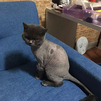 ��������ȥ�������ŷ��֣�ԭ���������ְ�...