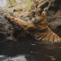 ��Ȼ�Ǵ���֮������һ����ȥϴ�軹���е����µ���....