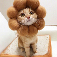 ��Щè�����ͷ��Ҳ̫�ɰ��˰ɣ���Ҫһ�ڳԵ���