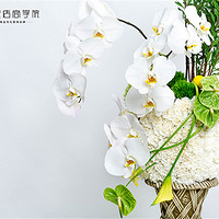 �𱬿��������ѻ�����ѧԺ����ɳ����ʦ��ѵ��ʽ������