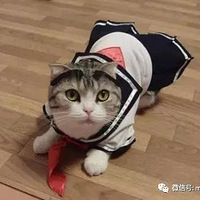 �����˵��Ʒ��ջ�~