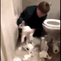 ����һֻ����Ǩ�족�����������ӣ�ÿ�춼�е�������