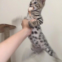 Сè͵�Ա�ץ������һ֡��͸¶�Ų���...