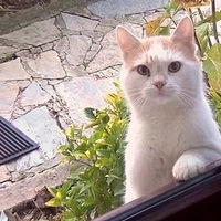 ������������è����ÿ�쾹����������Ҫ�����ԣ�ʵ��̫���ˣ�