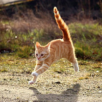 è������ҵר�ã�����ҽҩ��ҵҲ��ȫ����Ұ