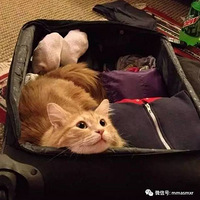 ������ʺ����Ҫȥ�������Ҳ���ϣ�