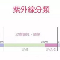 ��ɹ˪�ļ�ǿ��һƪ���°Ǹ�ȫ