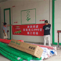 ����ˮ���ĸ��� Ϊʲô�¹���ʢ������������ϲ��