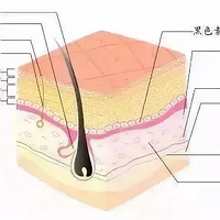 Ϊ������Ĳ�����ҥ��