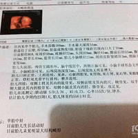 ���Ż����ʮ�������������֪����׼�����������ɣ�