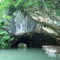 ͩ®�����Ƽ����������������������һĨ����