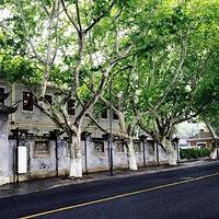 ݳĸ߶̵㣬˭ܸʤһ