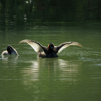 ��������--С?�f