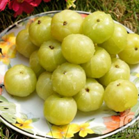 ũ�峣����һ��ˮ�������׵��ߣ�����������֪����������