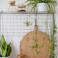 ������ζ֮��