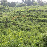 �Ӷ������Ļ������������紴ҵ�����Ƕ�ϻ���