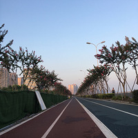 ��ȸ������