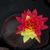 ����˯����--˯��