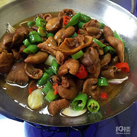 �����ԡ���ɽ��ˮ���ܱ��ͩ®����ͨ���ר��������