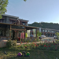 �����Ƶ��ൺ