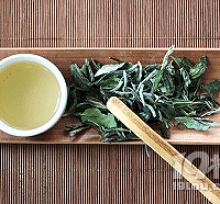 �ݲ�Ҳ�н������ְ��ֽ����ݳ��úȵ��ϰײ�