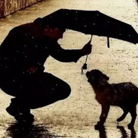 ����ĸ�ĸ����ʵ������Ա