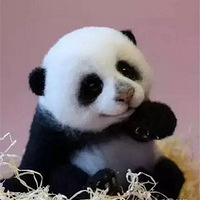 ����Ȧ��С֪ʶ��