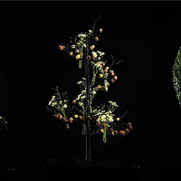 ���ѻ�����ѧԺʱ�л���������廨���׿� ���ݴ����Ļ��տγ�