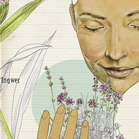 ���ѻ��껨��ɳ�����������ο��� ����һȺ�������