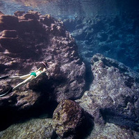 ����д��