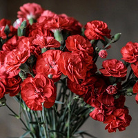 20���ܰ��˱��ֿ��ֵ�ϰ�ߣ���ѧ���͸���ʦ�ǣ� | ��ѧ��