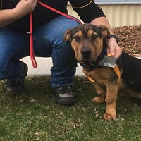 ���������´������Ц������ ����������ԡ������й���