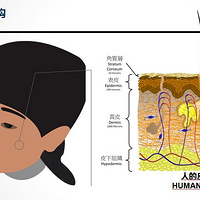 ����˽�˶���