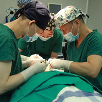 Ҷ�����˻��ǵ�ȫ������ 9���ذ�������