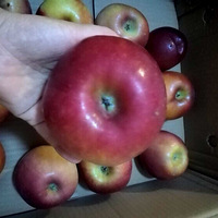 ƻ���������ر�ó�