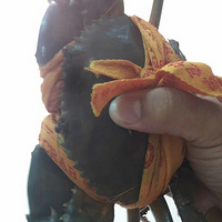 ������з