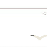 �糿���ֺ̰��޵�ì�ܸ߷��ڣ������ȷ������Щ�أ�