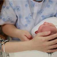 ������� | ��֦���裺���������������������ҵĺá�